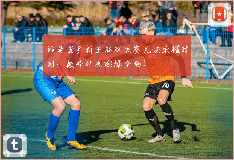 谁是国乒新王混双决赛见证荣耀时刻，巅峰对决燃爆全场！