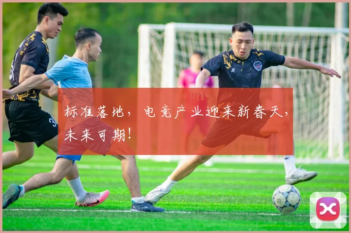 标准落地，电竞产业迎来新春天，未来可期！
